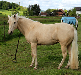 Elena de la Suiza