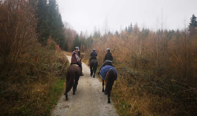 Chlouseritt u Glüehwy vom 04.12.2022