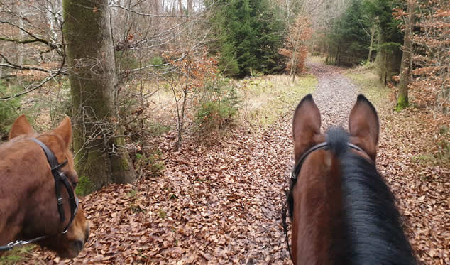 Chlouseritt u Glüehwy vom 04.12.2022