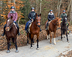 Chlouseritt u Glüehwy vom 04.12.2022